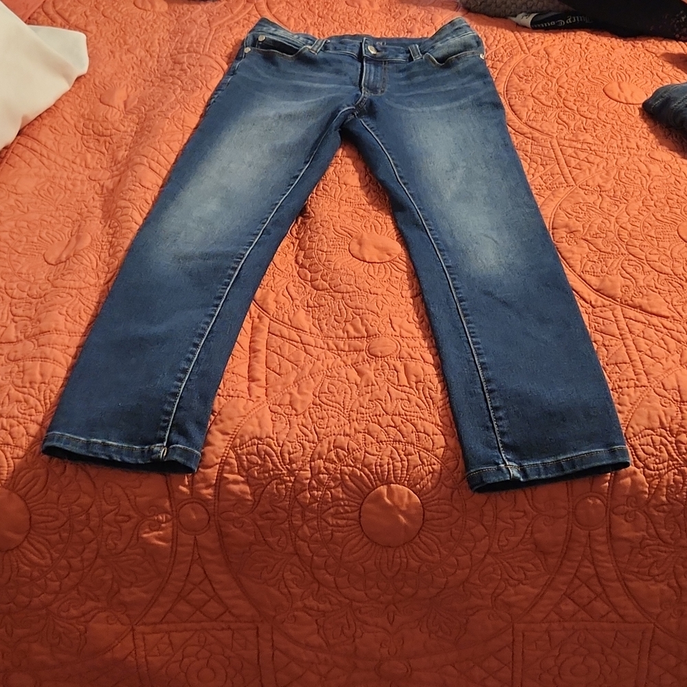 Tahari  Women's Jeans